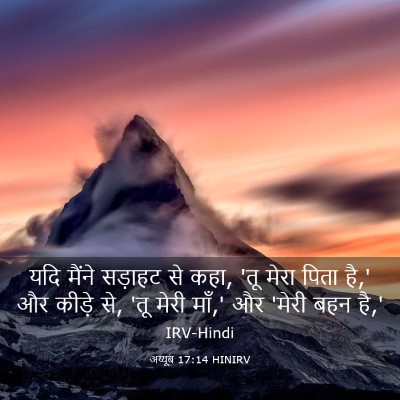 Picture 03 - अय्यूब 17:14 HINIRV - यदि मैंने सड़ाहट - Bible Verse Picture
