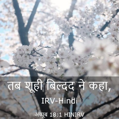 Picture 03 - अय्यूब 18:1 HINIRV - तब शूही बिल्दद ने - Bible Verse Picture