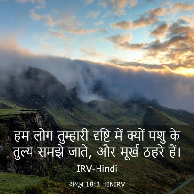 Picture 03 - अय्यूब 18:3 HINIRV - हम लोग तुम्हारी - Bible Verse Picture