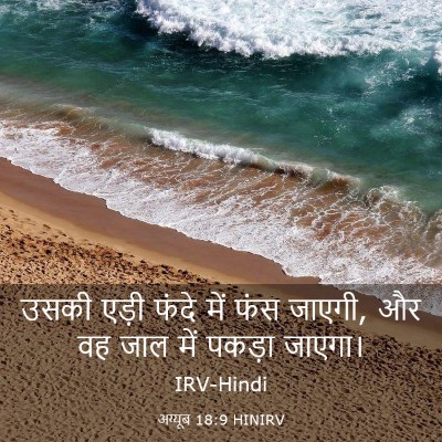 Picture 03 - अय्यूब 18:9 HINIRV - उसकी एड़ी फंदे में - Bible Verse Picture