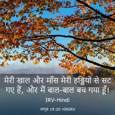 Picture 03 - अय्यूब 19:20 HINIRV - मेरी खाल और माँस - Bible Verse Picture
