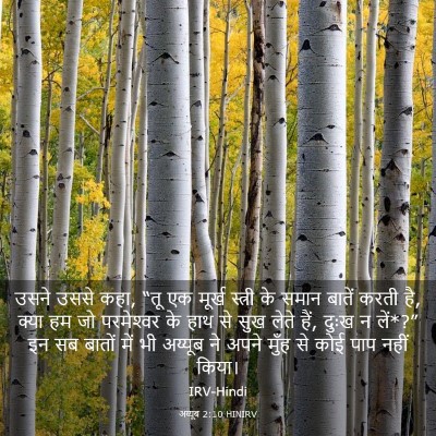 Picture 03 - अय्यूब 2:10 HINIRV - उसने उससे कहा, “तू - Bible Verse Picture