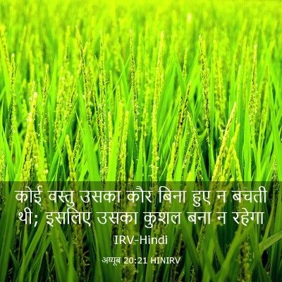 Picture 03 - अय्यूब 20:21 HINIRV - कोई वस्तु उसका कौर - Bible Verse Picture