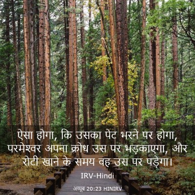 Picture 03 - अय्यूब 20:23 HINIRV - ऐसा होगा, कि उसका - Bible Verse Picture
