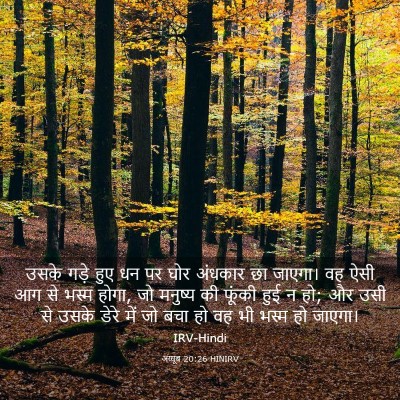 Picture 03 - अय्यूब 20:26 HINIRV - उसके गड़े हुए धन पर - Bible Verse Picture