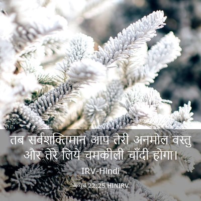 Picture 03 - अय्यूब 22:25 HINIRV - तब सर्वशक्तिमान - Bible Verse Picture