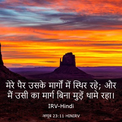 Picture 03 - अय्यूब 23:11 HINIRV - मेरे पैर उसके - Bible Verse Picture