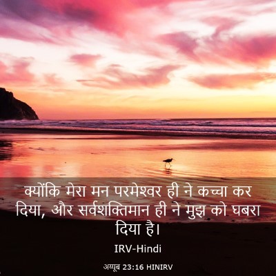 Picture 03 - अय्यूब 23:16 HINIRV - क्योंकि मेरा मन - Bible Verse Picture
