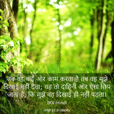 Picture 03 - अय्यूब 23:9 HINIRV - जब वह बाईं ओर काम - Bible Verse Picture