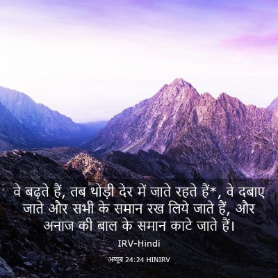 Picture 03 - अय्यूब 24:24 HINIRV - वे बढ़ते हैं, तब - Bible Verse Picture