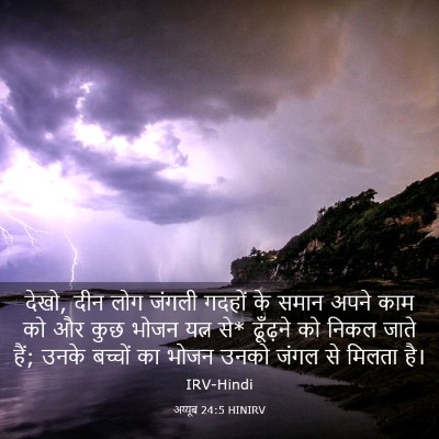 Picture 03 - अय्यूब 24:5 HINIRV - देखो, दीन लोग जंगली - Bible Verse Picture