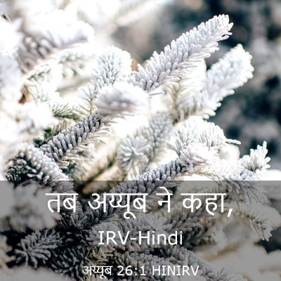 Picture 03 - अय्यूब 26:1 HINIRV - तब अय्यूब ने - Bible Verse Picture