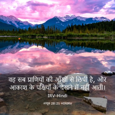 Picture 03 - अय्यूब 28:21 HINIRV - वह सब प्राणियों की - Bible Verse Picture