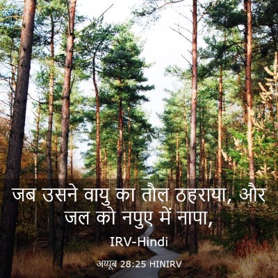 Picture 03 - अय्यूब 28:25 HINIRV - जब उसने वायु का तौल - Bible Verse Picture