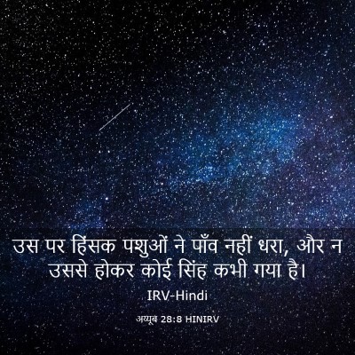 Picture 03 - अय्यूब 28:8 HINIRV - उस पर हिंसक पशुओं - Bible Verse Picture