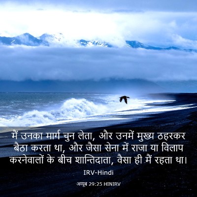 Picture 03 - अय्यूब 29:25 HINIRV - मैं उनका मार्ग चुन - Bible Verse Picture