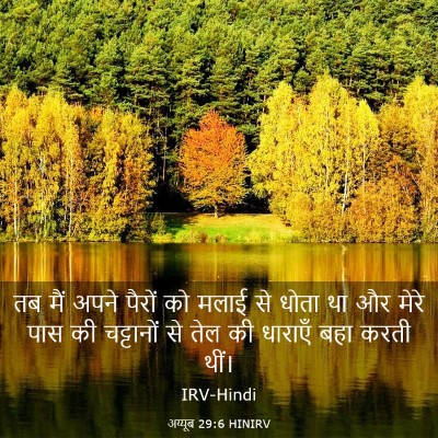 Picture 03 - अय्यूब 29:6 HINIRV - तब मैं अपने पैरों - Bible Verse Picture