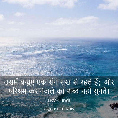 Picture 03 - अय्यूब 3:18 HINIRV - उसमें बन्धुए एक - Bible Verse Picture