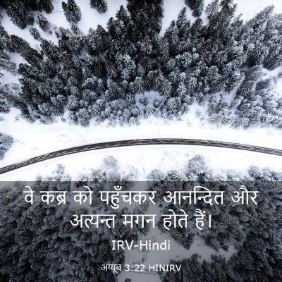 Picture 03 - अय्यूब 3:22 HINIRV - वे कब्र को पहुँचकर - Bible Verse Picture