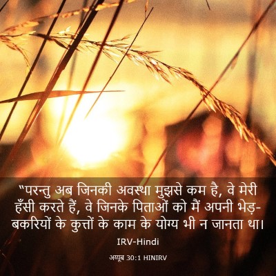 Picture 03 - अय्यूब 30:1 HINIRV - “परन्तु अब जिनकी - Bible Verse Picture