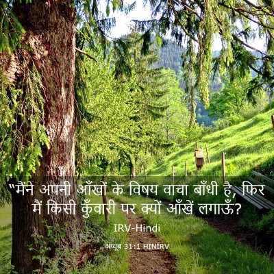 Picture 03 - अय्यूब 31:1 HINIRV - “मैंने अपनी आँखों - Bible Verse Picture