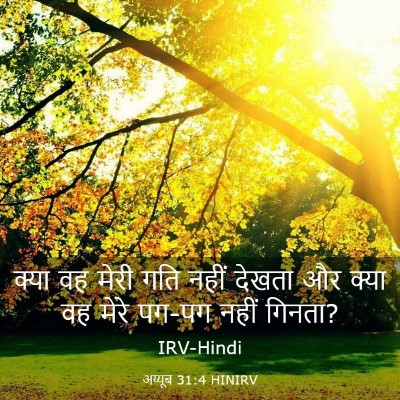 Picture 03 - अय्यूब 31:4 HINIRV - क्या वह मेरी गति - Bible Verse Picture
