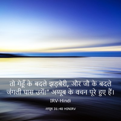 Picture 03 - अय्यूब 31:40 HINIRV - तो गेहूँ के बदले - Bible Verse Picture