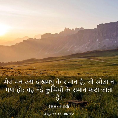 Picture 03 - अय्यूब 32:19 HINIRV - मेरा मन उस दाखमधु - Bible Verse Picture