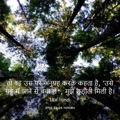 Picture 03 - अय्यूब 33:24 HINIRV - तो वह उस पर अनुग्रह - Bible Verse Picture
