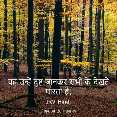 Picture 03 - अय्यूब 34:26 HINIRV - वह उन्हें दुष्ट - Bible Verse Picture