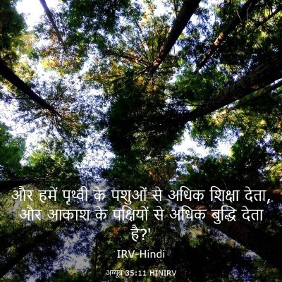 Picture 03 - अय्यूब 35:11 HINIRV - और हमें पृथ्वी के - Bible Verse Picture