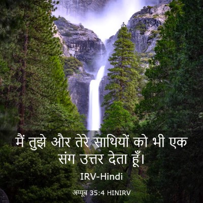 Picture 03 - अय्यूब 35:4 HINIRV - मैं तुझे और तेरे - Bible Verse Picture