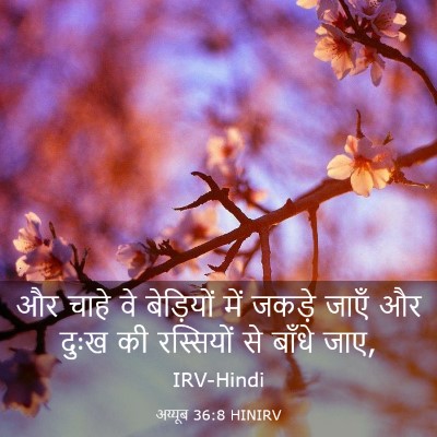 Picture 03 - अय्यूब 36:8 HINIRV - और चाहे वे - Bible Verse Picture