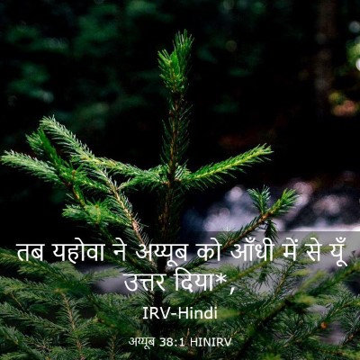 Picture 03 - अय्यूब 38:1 HINIRV - तब यहोवा ने अय्यूब - Bible Verse Picture