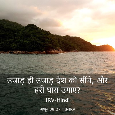 Picture 03 - अय्यूब 38:27 HINIRV - उजाड़ ही उजाड़ देश - Bible Verse Picture