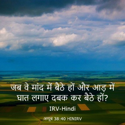 Picture 03 - अय्यूब 38:40 HINIRV - जब वे मांद में बैठे - Bible Verse Picture