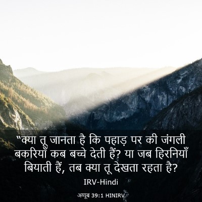 Picture 03 - अय्यूब 39:1 HINIRV - “क्या तू जानता है - Bible Verse Picture