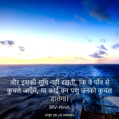 Picture 03 - अय्यूब 39:15 HINIRV - और इसकी सुधि नहीं - Bible Verse Picture