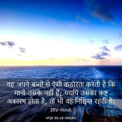 Picture 03 - अय्यूब 39:16 HINIRV - वह अपने बच्चों से - Bible Verse Picture