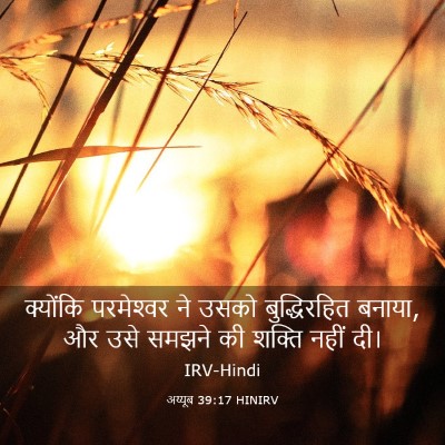 Picture 03 - अय्यूब 39:17 HINIRV - क्योंकि परमेश्‍वर - Bible Verse Picture
