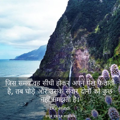 Picture 03 - अय्यूब 39:18 HINIRV - जिस समय वह सीधी - Bible Verse Picture