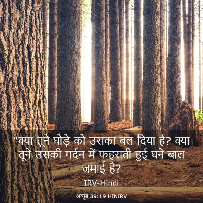 Picture 03 - अय्यूब 39:19 HINIRV - “क्या तूने घोड़े - Bible Verse Picture