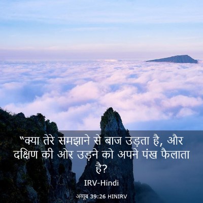 Picture 03 - अय्यूब 39:26 HINIRV - “क्या तेरे समझाने - Bible Verse Picture