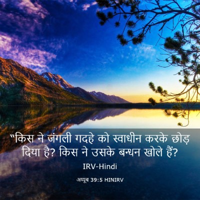 Picture 03 - अय्यूब 39:5 HINIRV - “किस ने जंगली गदहे - Bible Verse Picture