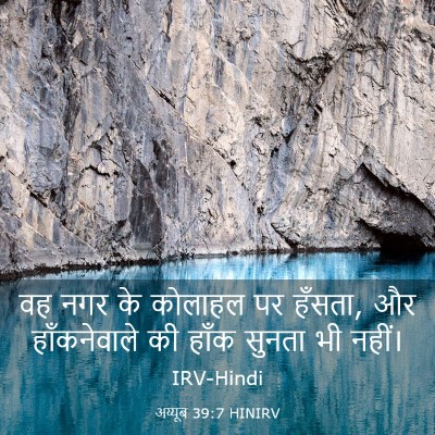 Picture 03 - अय्यूब 39:7 HINIRV - वह नगर के कोलाहल पर - Bible Verse Picture