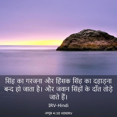 Picture 03 - अय्यूब 4:10 HINIRV - सिंह का गरजना और - Bible Verse Picture