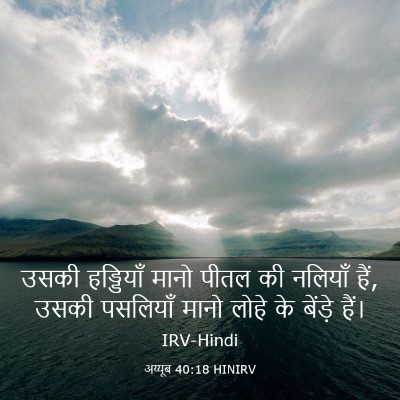 Picture 03 - अय्यूब 40:18 HINIRV - उसकी हड्डियाँ - Bible Verse Picture