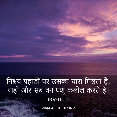 Picture 03 - अय्यूब 40:20 HINIRV - निश्चय पहाड़ों पर - Bible Verse Picture