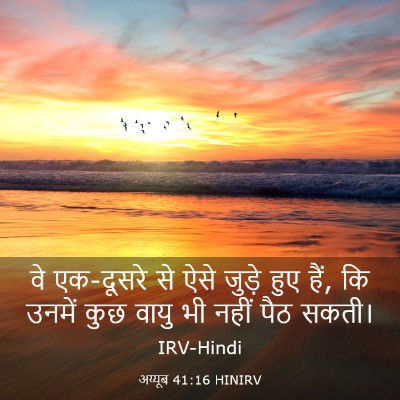 Picture 03 - अय्यूब 41:16 HINIRV - वे एक-दूसरे से ऐसे - Bible Verse Picture