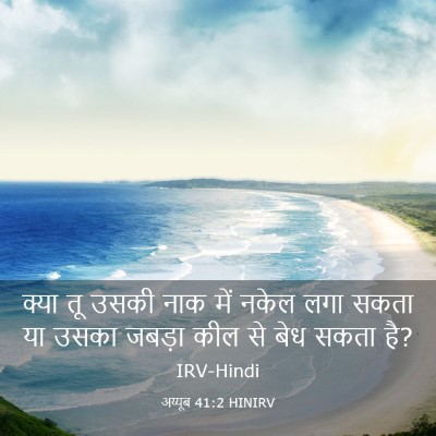 Picture 03 - अय्यूब 41:2 HINIRV - क्या तू उसकी नाक - Bible Verse Picture